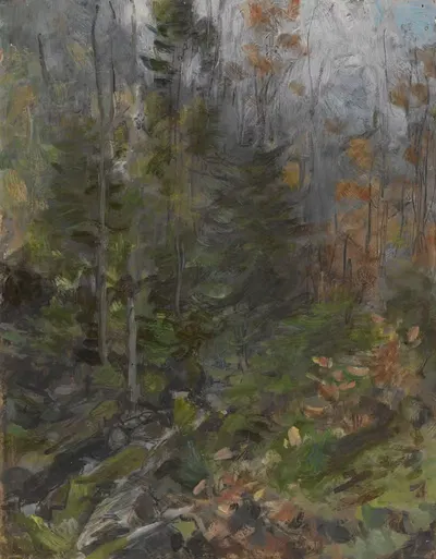 Осень в окрестностях Вжосувки by Иоганнес Граф, 1900 — digital art print download