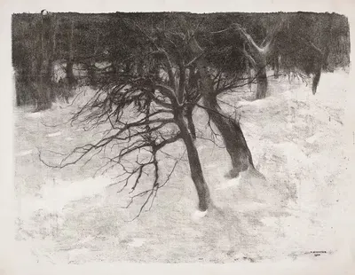 Деревья в снегу by Тадеуш Рихтер, 1904 — digital art print download