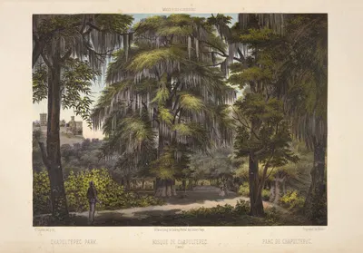 Chapultepec park. by C. Castro, 1869 — digital art print download