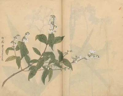 Sketchbook Pl.005 by Ariyoshi Kondo, 1826-1840 — digital art print download