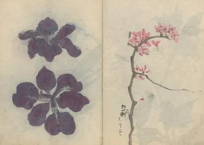 Sketchbook Pl.009 by Ariyoshi Kondo, 1826-1840 — digital art print download