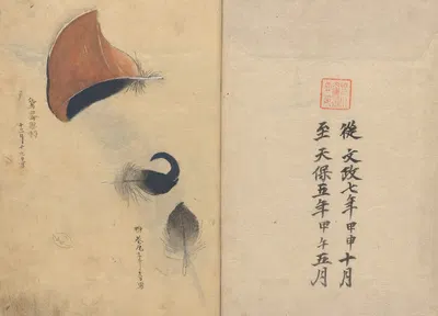 Sketchbook Pl.010 by Ariyoshi Kondo, 1826-1840 — digital art print download