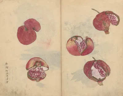 Sketchbook Pl.018 by Ariyoshi Kondo, 1826-1840 — digital art print download