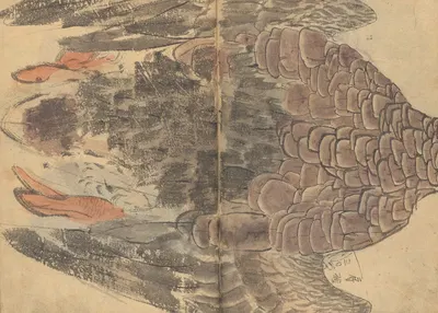 Sketchbook Pl.034 by Ariyoshi Kondo, 1826-1840 — digital art print download
