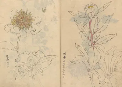 Sketchbook Pl.040 by Ariyoshi Kondo, 1826-1840 — digital art print download