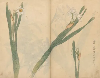 Sketchbook Pl.058 by Ariyoshi Kondo, 1826-1840 — digital art print download