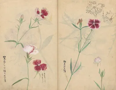 Sketchbook Pl.059 by Ariyoshi Kondo, 1826-1840 — digital art print download