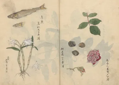 Sketchbook Pl.069 by Ariyoshi Kondo, 1826-1840 — digital art print download