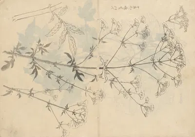 Sketchbook Pl.087 by Ariyoshi Kondo, 1826-1840 — digital art print download