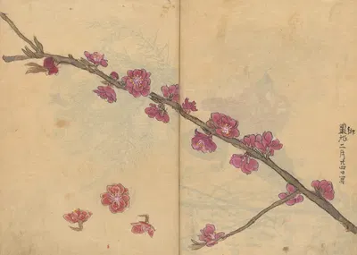 Sketchbook Pl.091 by Ariyoshi Kondo, 1826-1840 — digital art print download