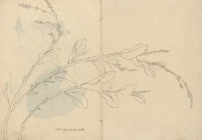 Sketchbook Pl.093 by Ariyoshi Kondo, 1826-1840 — digital art print download