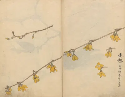 Sketchbook Pl.104 by Ariyoshi Kondo, 1826-1840 — digital art print download