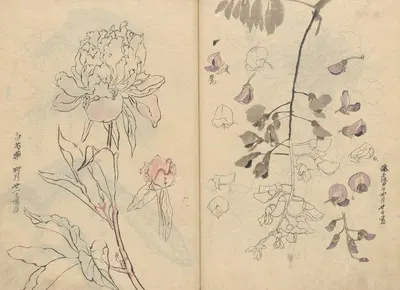 Sketchbook Pl.110 by Ariyoshi Kondo, 1826-1840 — digital art print download