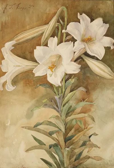 Still Life of Easter Lilies by Джон Ла Фардж — digital art print download