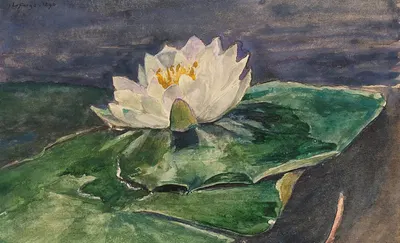 Water Lily by Джон Ла Фардж, 1896 — digital art print download