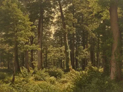 Eichwald (Oak Forest) by Robert Zünd — digital art print download
