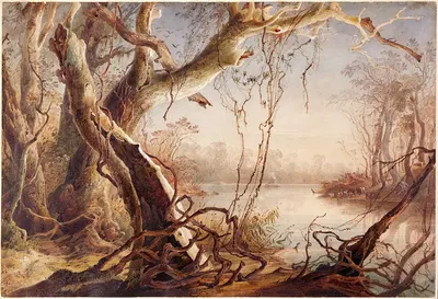 Устье реки Фокс, Индиана by Карл Бодмер, 1832 — digital art print download