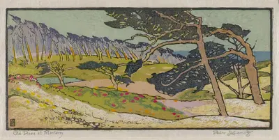 Old Pines at Monterey by Pedro de Lemos, c. 1921 — digital art print download