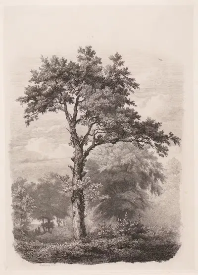 Дерево by Пьер Луи Дюбурк, 1830-1873 — digital art print download