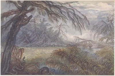 Лес и болото by Рафаэль Ламар Уэст, c. 1802 — digital art print download