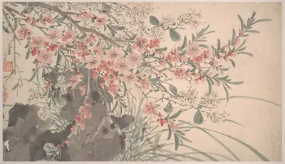 Garden Flowers Pl.13 by Чэнь Чунь, 1540 — digital art print download