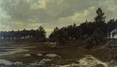 Heath Landscape in the Kempen by Alfred Elsen — digital art print download