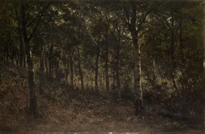 Лес by Шарль Поли, 1879 — digital art print download