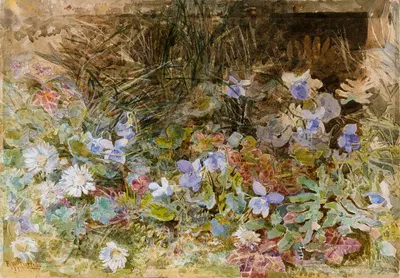 Daisies and Violets by Франсис 'Фанни' Уилмот Керри, 1881 — digital art print download