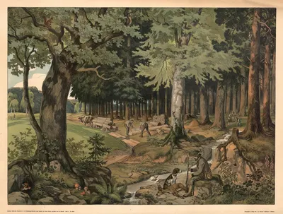 Лес by Лео Кайнради, 1904 — digital art print download