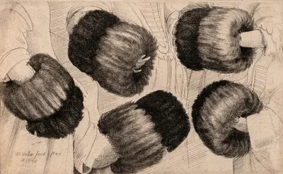 A Muff in Five Views by Венцеслав Голлар — digital art print download