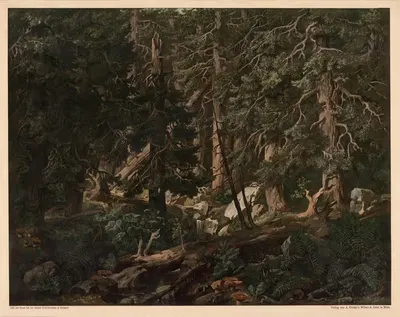 Богемский лес by Антон Хайльманн, 1890 — digital art print download