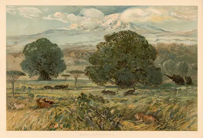 У подножия Килиманджаро by Август Шпехт, 1920 — digital art print download