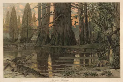 В нижнем течении Миссисипи by Август Шпехт, 1920 — digital art print download