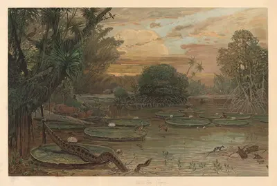 From Guyana by August Specht, 1920 — digital art print download
