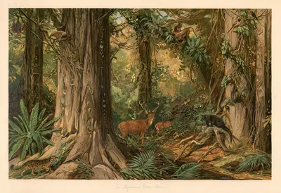 Из Индокитая (Бирма) by Август Шпехт, 1920 — digital art print download