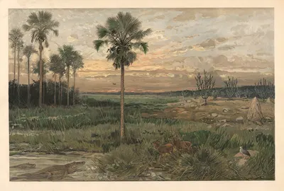 Из Льянос by Август Шпехт, 1920 — digital art print download