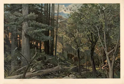 Из Аллегейниских гор by Август Шпехт, 1920 — digital art print download