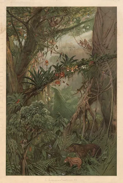 В среднем течении реки Амазонки by Август Шпехт, 1920 — digital art print download