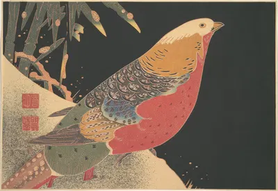 Golden Pheasant in the Snow by Itō Jakuchū — digital art print download