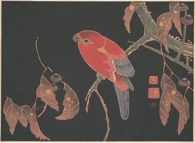Red Parrot on the Branch of a Tree by Itō Jakuchū — digital art print download