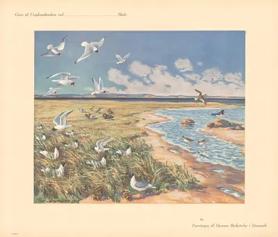 Апрель by Пуль Кристиан Йоргенсен, 1935 — digital art print download