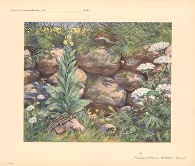 Июль by Пуль Кристиан Йоргенсен, 1935 — digital art print download