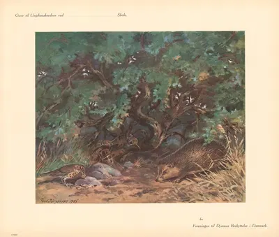 Август by Пуль Кристиан Йоргенсен, 1935 — digital art print download