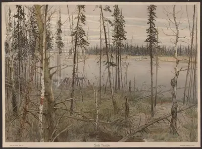 Сибирская тайга by Сергей Иванович Ягужинский, 1908 — digital art print download