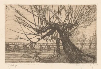 Wilgen by Otto Hanrath, 1917 — digital art print download