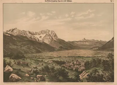 Веттерштайн, тип северных кайкальп by Фогельсанг и Кайзер, 1890 — digital art print download