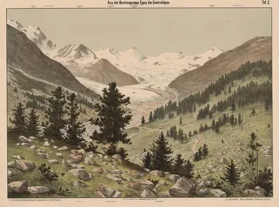 Из группы Бернина. Тип Центральных Альп by Фогельсанг и Кайзер, 1890 — digital art print download