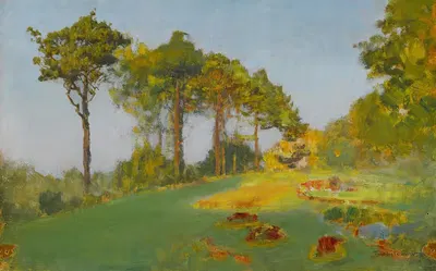 Лето в Жюпиле, изучение деревьев by Иван Павлович Похитонов, 1906-1913 — digital art print download