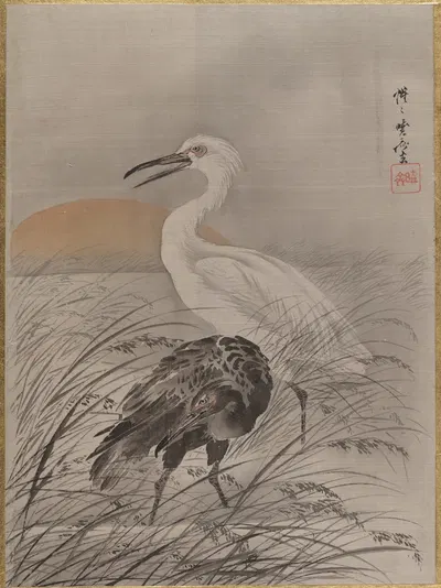 Cranes in Marsh by Каванабэ Кёсай — digital art print download