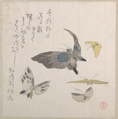 Butterflies by Кубо Сюнман — digital art print download